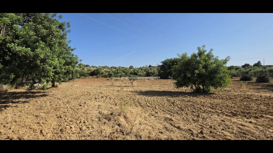 Terreno Agricola ou Rústico para Venda em Quelfes