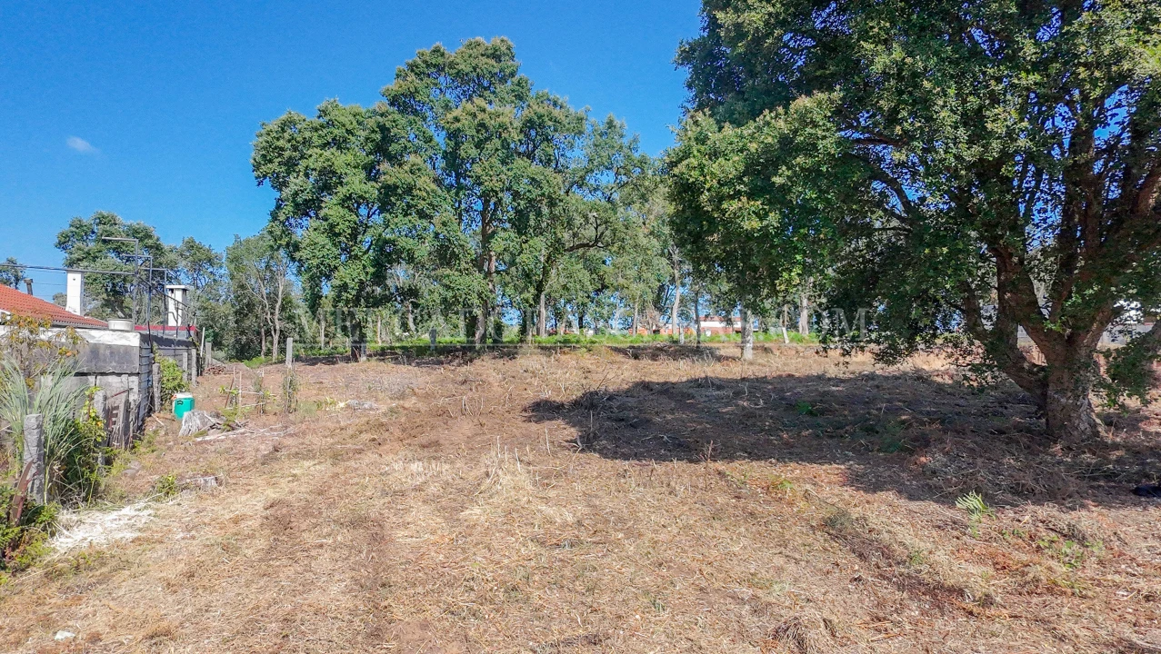 Terreno para Venda em Serzedo e Perosinho Foto 6