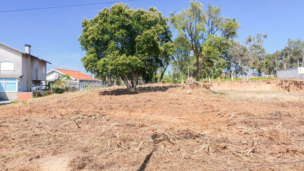 Terreno para Venda em Serzedo e Perosinho Foto 5