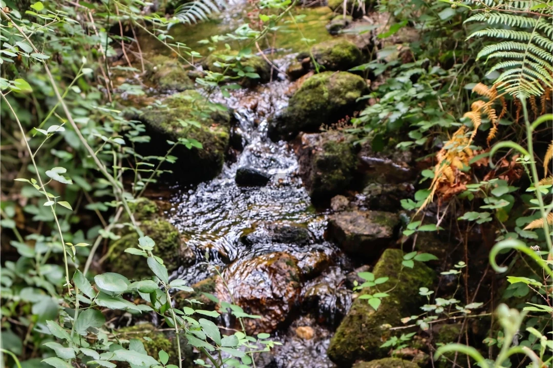Terreno para Venda em Estorãos Foto 14