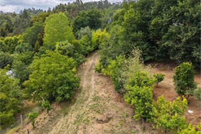 Terreno para Venda em Estorãos