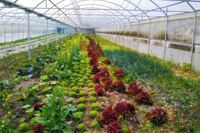 Terreno para Venda em Estorãos