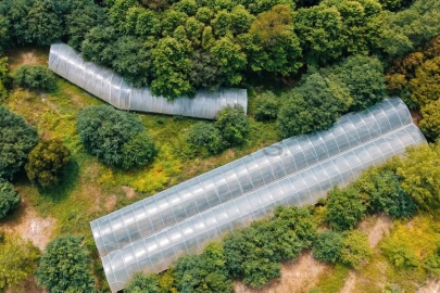 Terreno para Venda em Estorãos