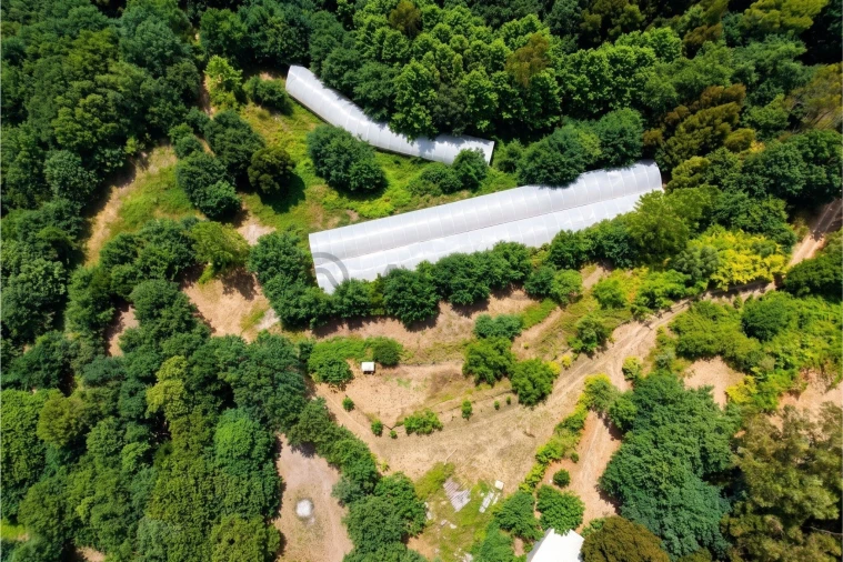 Terreno para Venda em Estorãos Foto 11