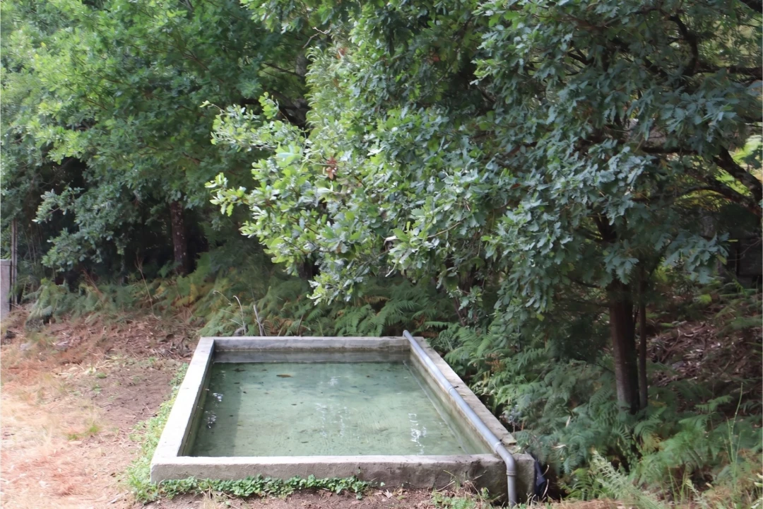 Terreno para Venda em Estorãos Foto 20