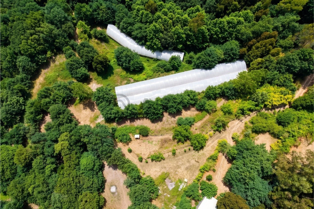 Terreno para Venda em Estorãos Foto 11