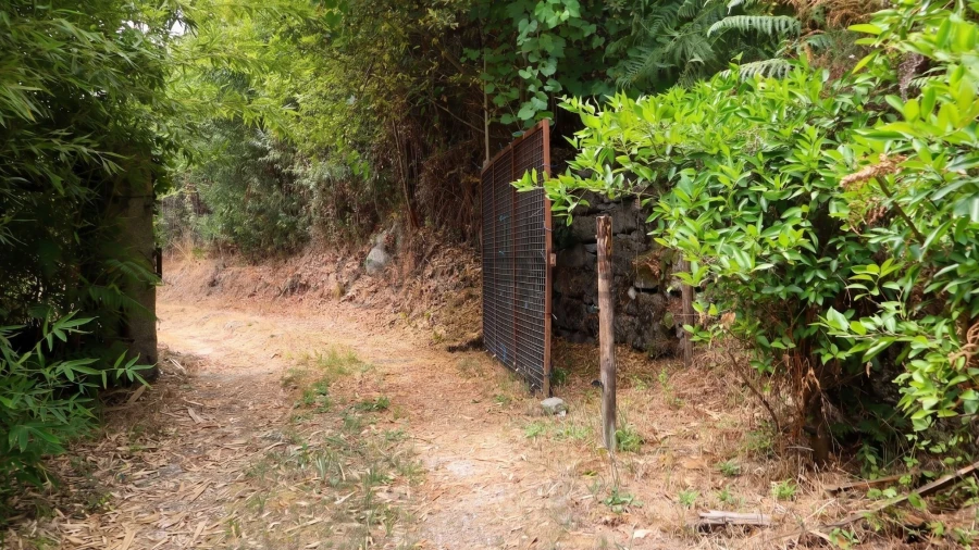 Terreno para Venda em Estorãos