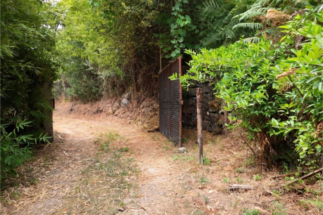 Terreno para Venda em Estorãos Foto 1