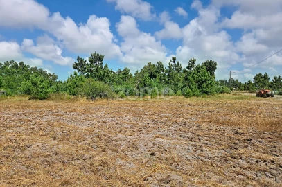 Moradia T1 para Venda em Marinha das Ondas
