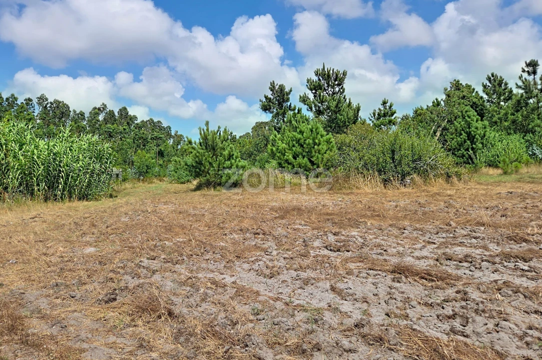Moradia T1 para Venda em Marinha das Ondas Foto 5