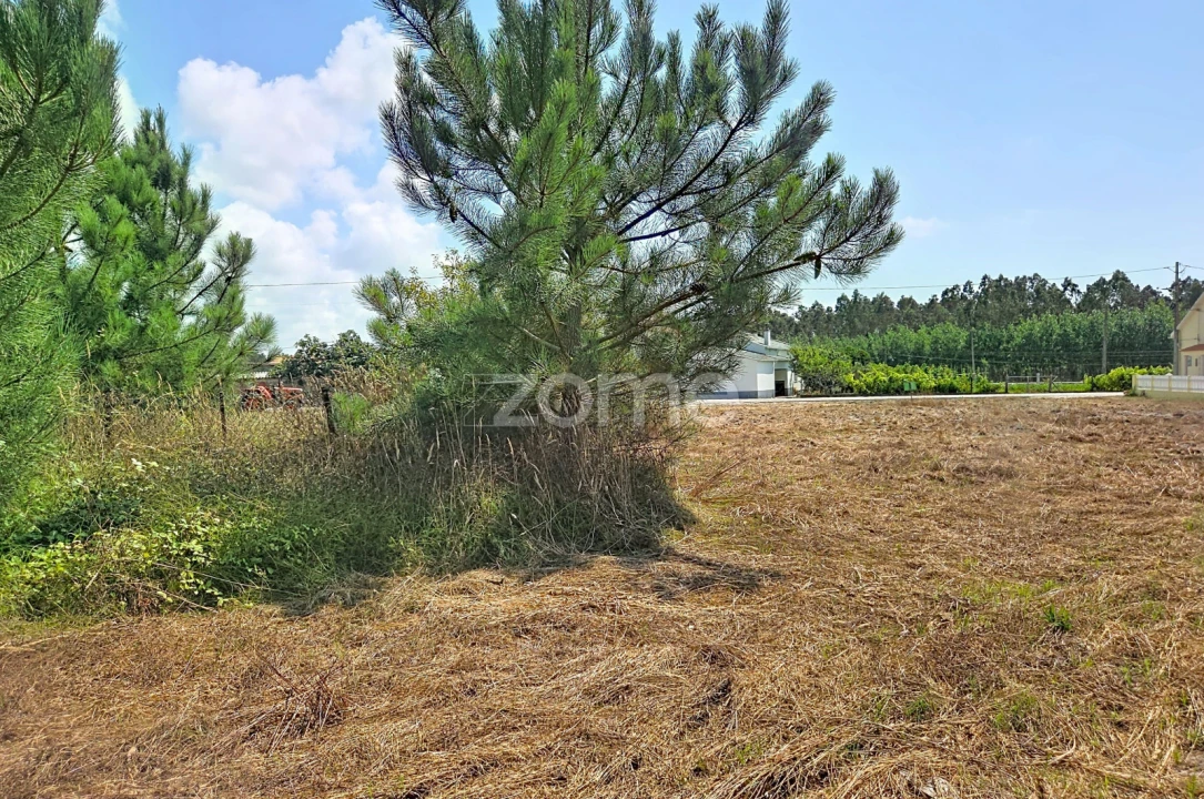 Moradia T1 para Venda em Marinha das Ondas Foto 6