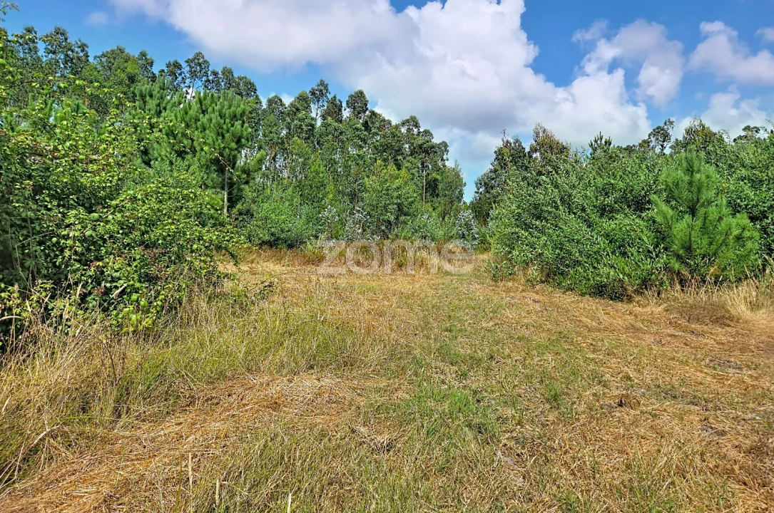Moradia T1 para Venda em Marinha das Ondas Foto 24
