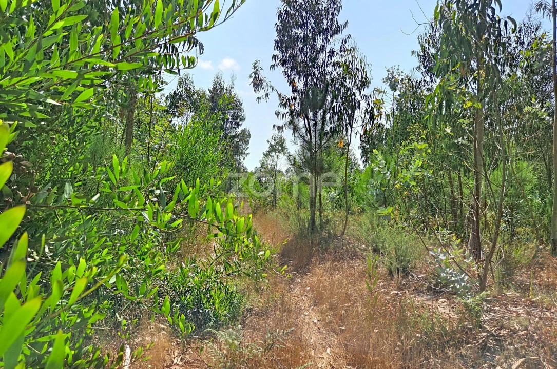 Moradia T1 para Venda em Marinha das Ondas Foto 27