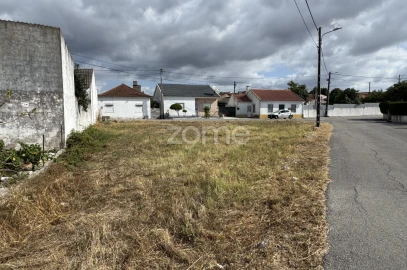Terreno para Venda em Torres Novas (São Pedro), Lapas e Ribeira Branca