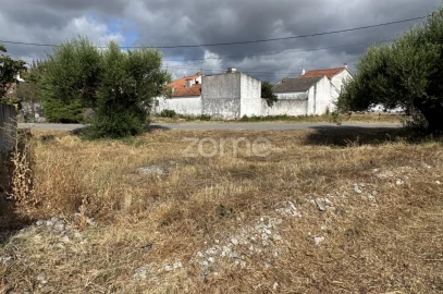 Terreno para Venda em Torres Novas (São Pedro), Lapas e Ribeira Branca