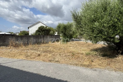 Terreno para Venda em Torres Novas (São Pedro), Lapas e Ribeira Branca