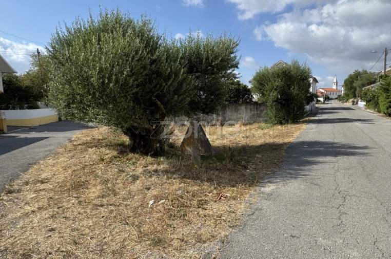 Terreno para Venda em Torres Novas (São Pedro), Lapas e Ribeira Branca Foto 4
