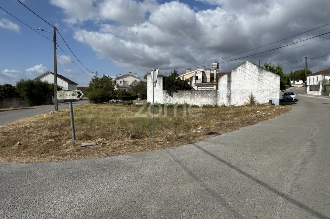 Terreno para Venda em Torres Novas (São Pedro), Lapas e Ribeira Branca Foto 1