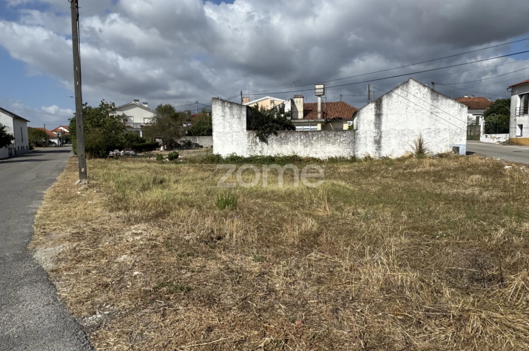 Terreno para Venda em Torres Novas (São Pedro), Lapas e Ribeira Branca Foto 3