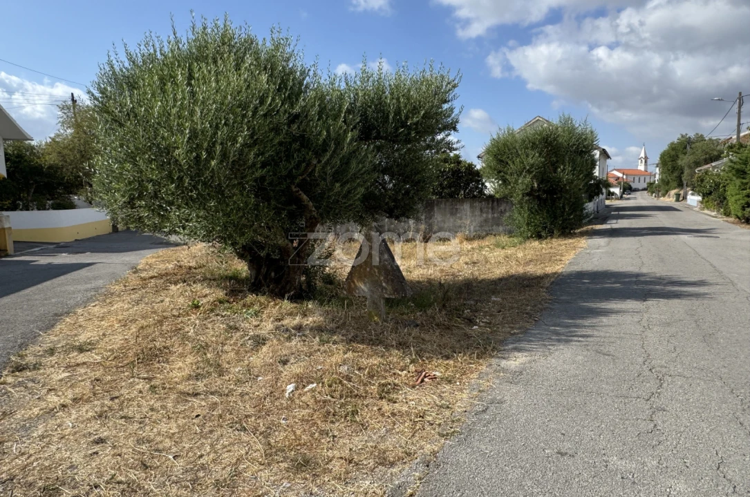 Terreno para Venda em Torres Novas (São Pedro), Lapas e Ribeira Branca Foto 4