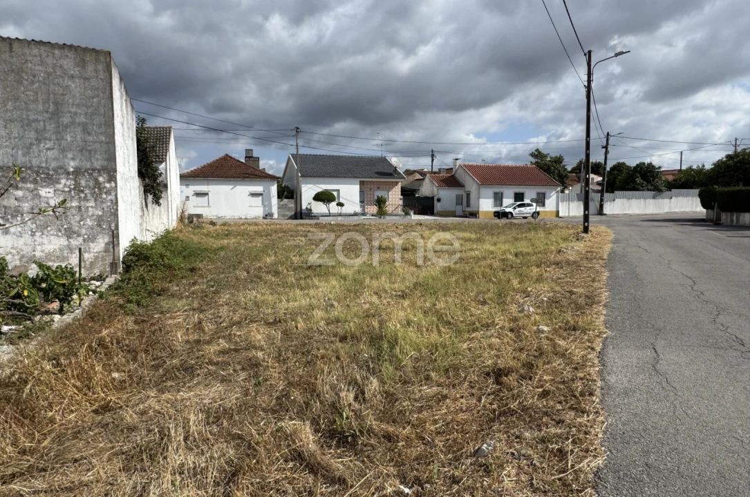 Terreno para Venda em Torres Novas (São Pedro), Lapas e Ribeira Branca Foto 2