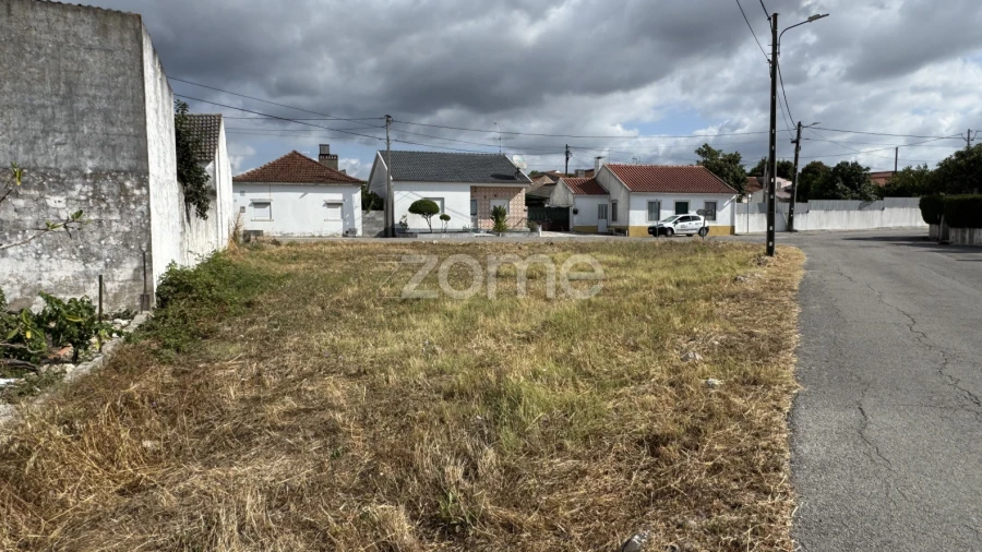 Terreno para Venda em Torres Novas (São Pedro), Lapas e Ribeira Branca