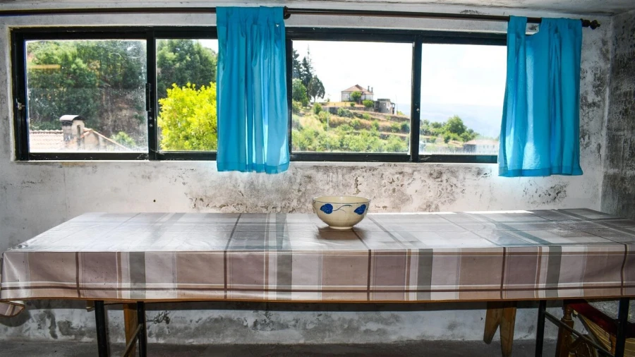 Moradia T2 para Venda em Baião (Santa Leocádia) e Mesquinhata Foto 13