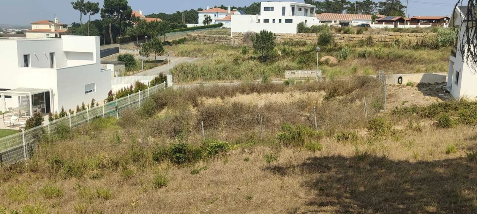 Terreno para Venda em Santo Isidoro Foto 2
