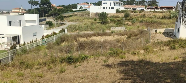 Terreno para Venda em Santo Isidoro