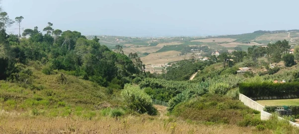 Terreno para Venda em Santo Isidoro