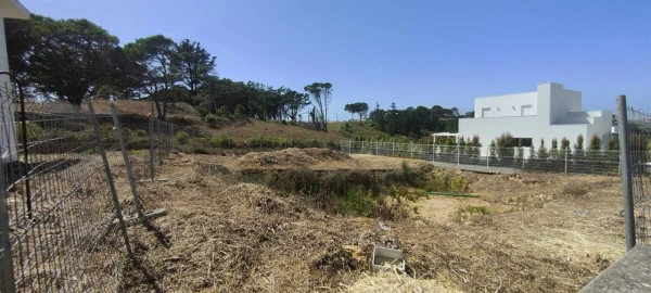 Terreno para Venda em Santo Isidoro