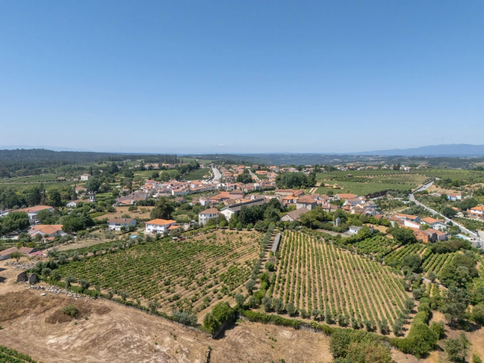 Quinta T14 para Venda em Santar e Moreira Foto 10