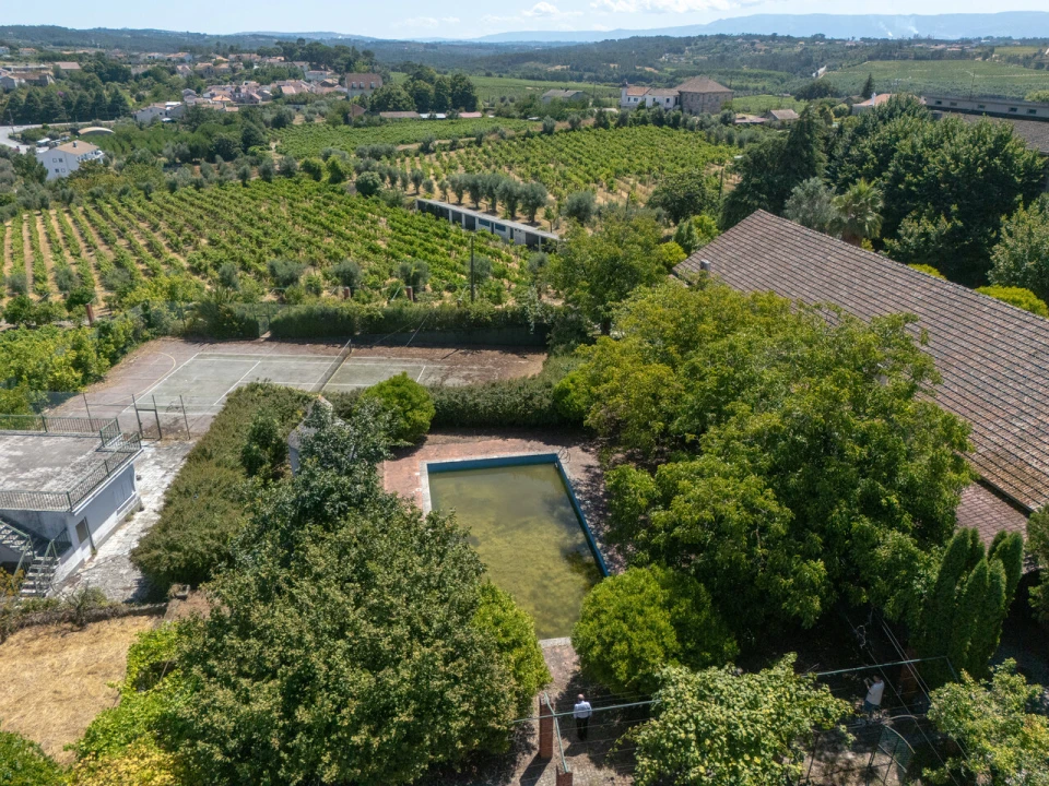 Quinta T14 para Venda em Santar e Moreira Foto 13