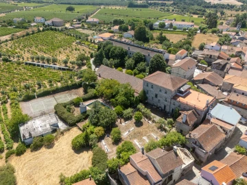 Quinta T14 para Venda em Santar e Moreira