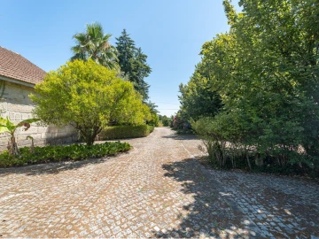 Quinta T14 para Venda em Santar e Moreira