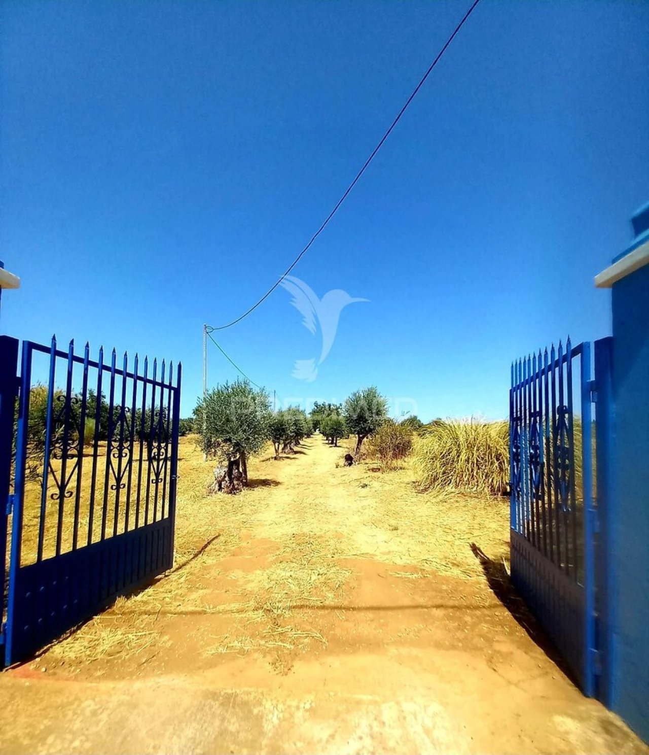 Quinta T2 para Venda em Terrugem e Vila Boim Foto 23