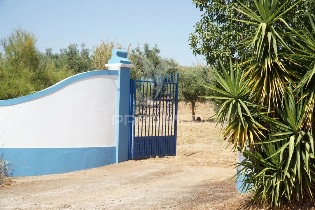 Quinta T2 para Venda em Terrugem e Vila Boim Foto 3
