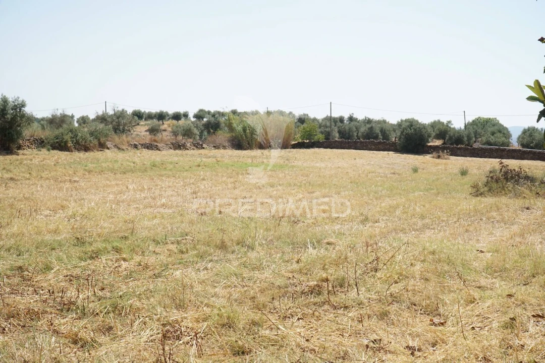 Quinta T2 para Venda em Terrugem e Vila Boim Foto 25
