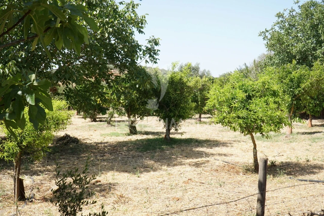 Quinta T2 para Venda em Terrugem e Vila Boim Foto 28