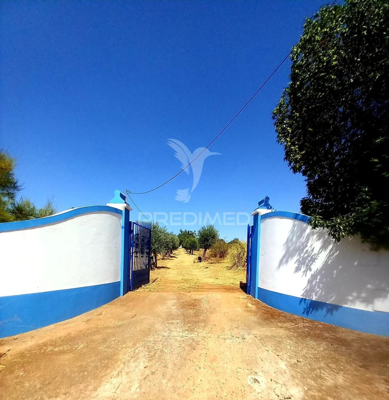 Quinta T2 para Venda em Terrugem e Vila Boim Foto 2