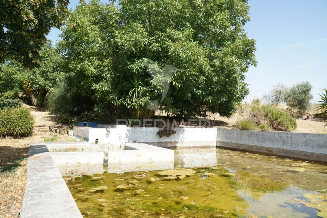Quinta T2 para Venda em Terrugem e Vila Boim Foto 38