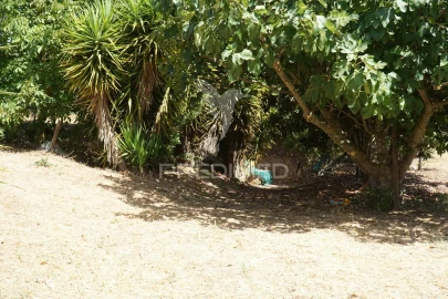 Quinta T2 para Venda em Terrugem e Vila Boim