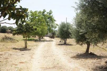 Quinta T2 para Venda em Terrugem e Vila Boim