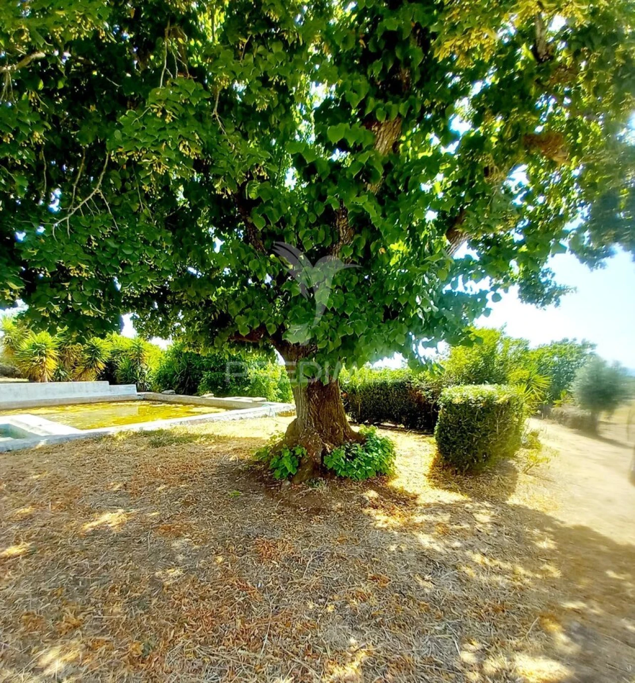 Quinta T2 para Venda em Terrugem e Vila Boim Foto 29
