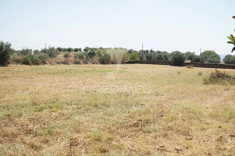 Quinta T2 para Venda em Terrugem e Vila Boim Foto 25
