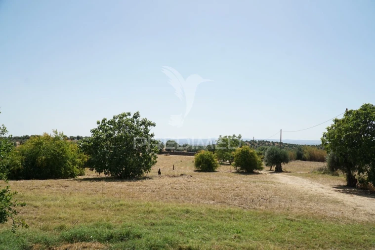 Quinta T2 para Venda em Terrugem e Vila Boim Foto 26