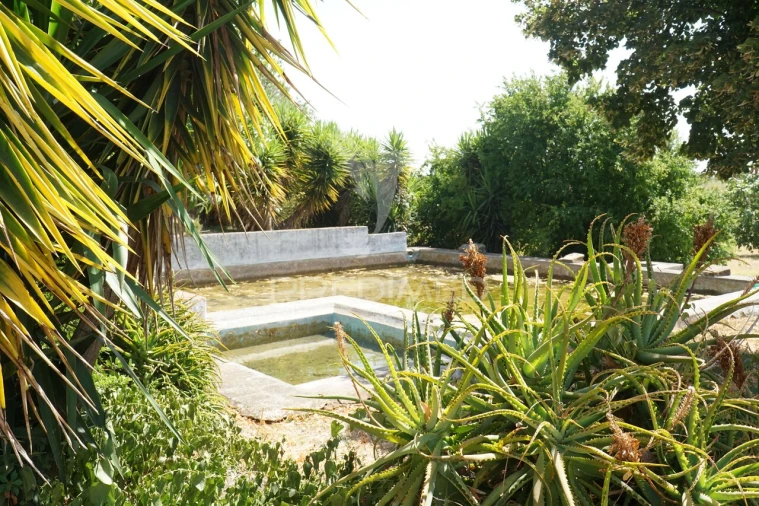 Quinta T2 para Venda em Terrugem e Vila Boim Foto 36