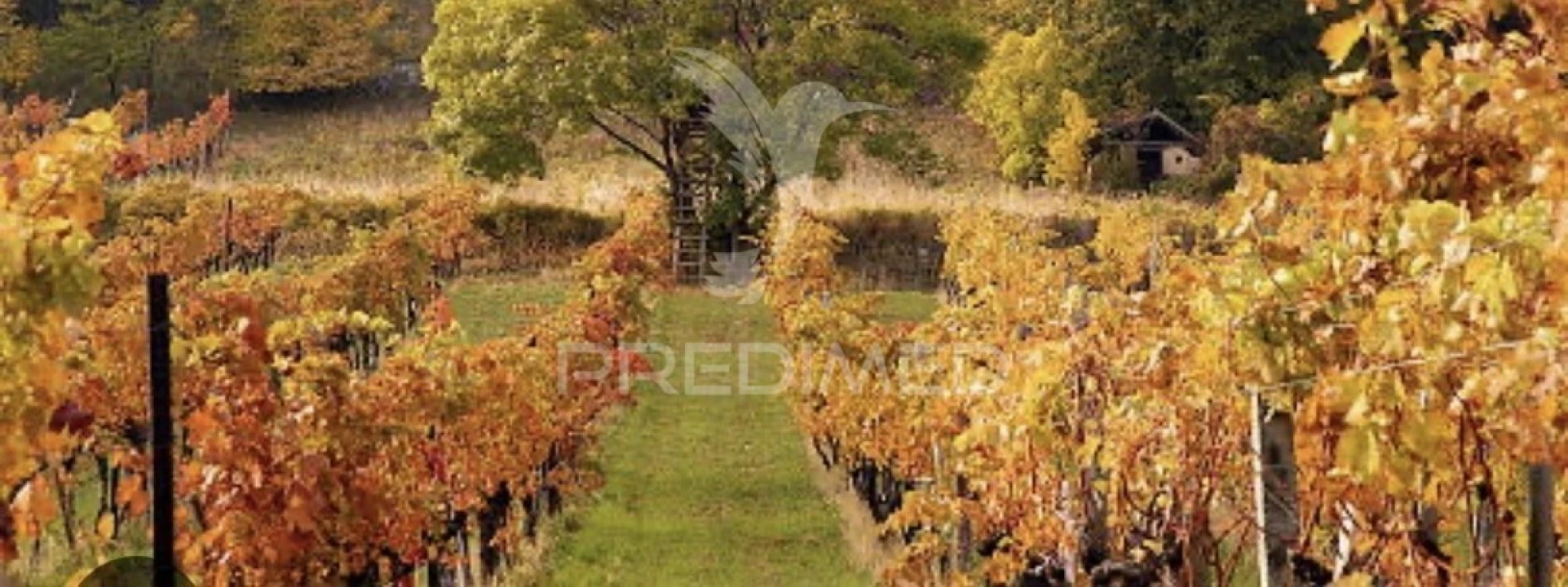 Terreno para Venda em São Mamede de Ribatua Foto 1