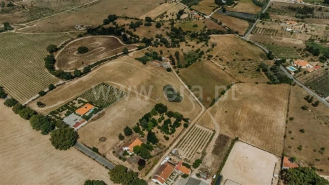Quinta T0 para Venda em Fundão, Valverde, Donas, A. Joanes, A. Nova Cabo