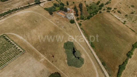 Quinta T0 para Venda em Fundão, Valverde, Donas, A. Joanes, A. Nova Cabo